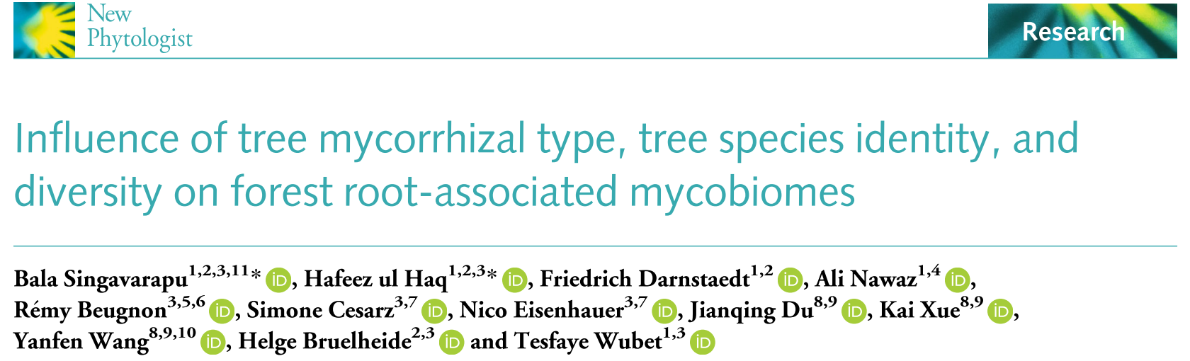 Influence of tree mycorrhizal type, tree species identity, and diversity on forest root-associated mycobiomes