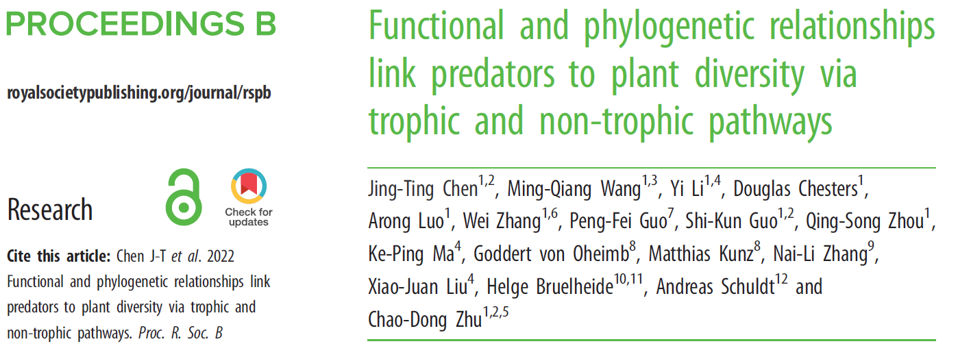 Functional and phylogenetic relationships link predators to plant diversity via trophic and non-trophic pathways