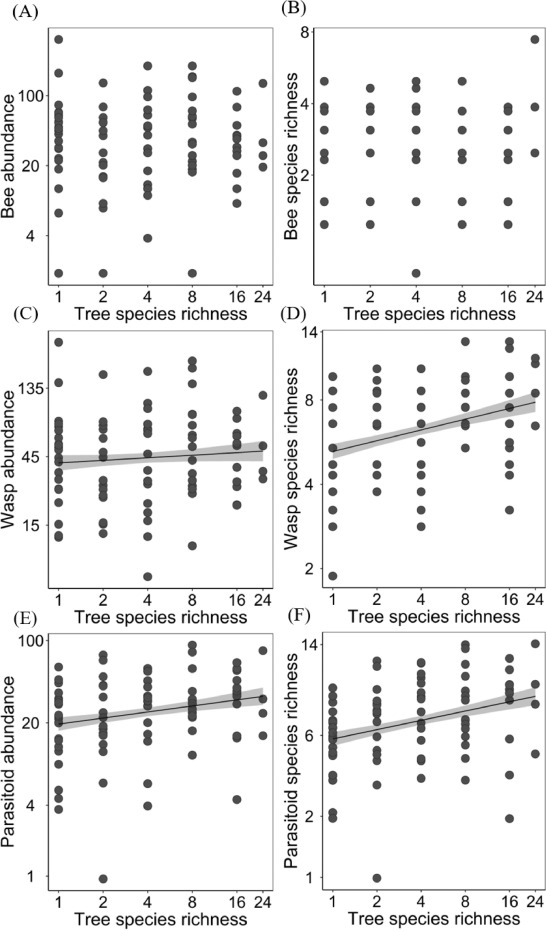 Tree diversity promotes predatory wasps and parasitoids but not pollinator bees in a subtropical experimental forest