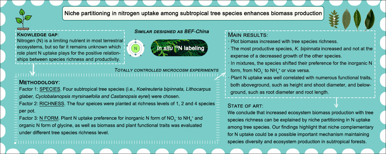 Niche partitioning in nitrogen uptake among subtropical tree species enhances biomass production