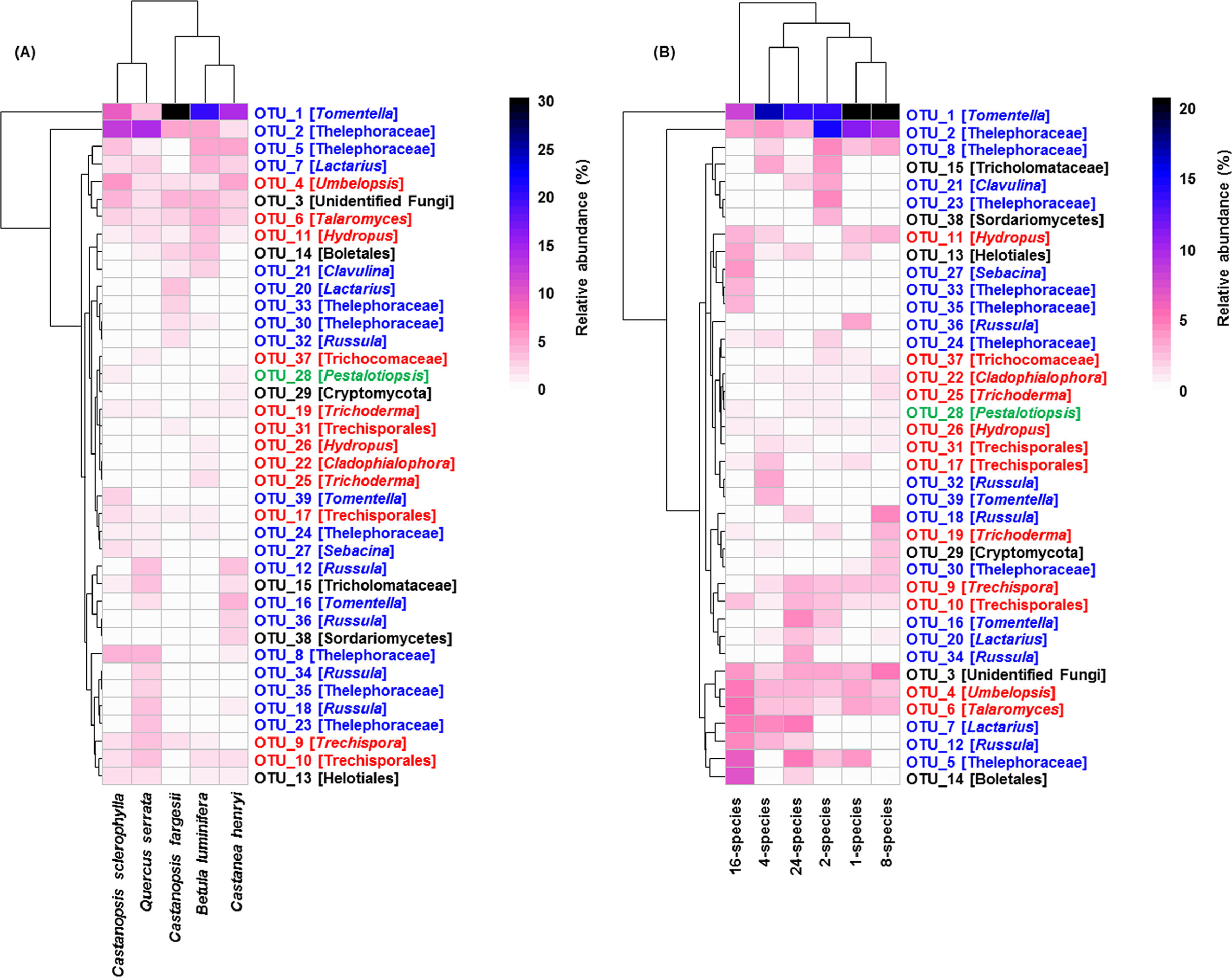 Plant identity strongly structures the root-associated fungal community in a diverse subtropical forest
