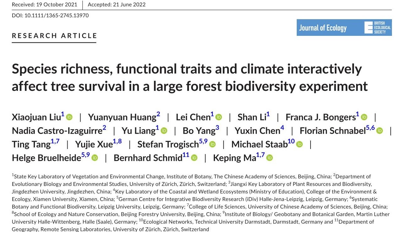 Species richness, functional traits and climate interactively affect tree survival in a large forest biodiversity experiment