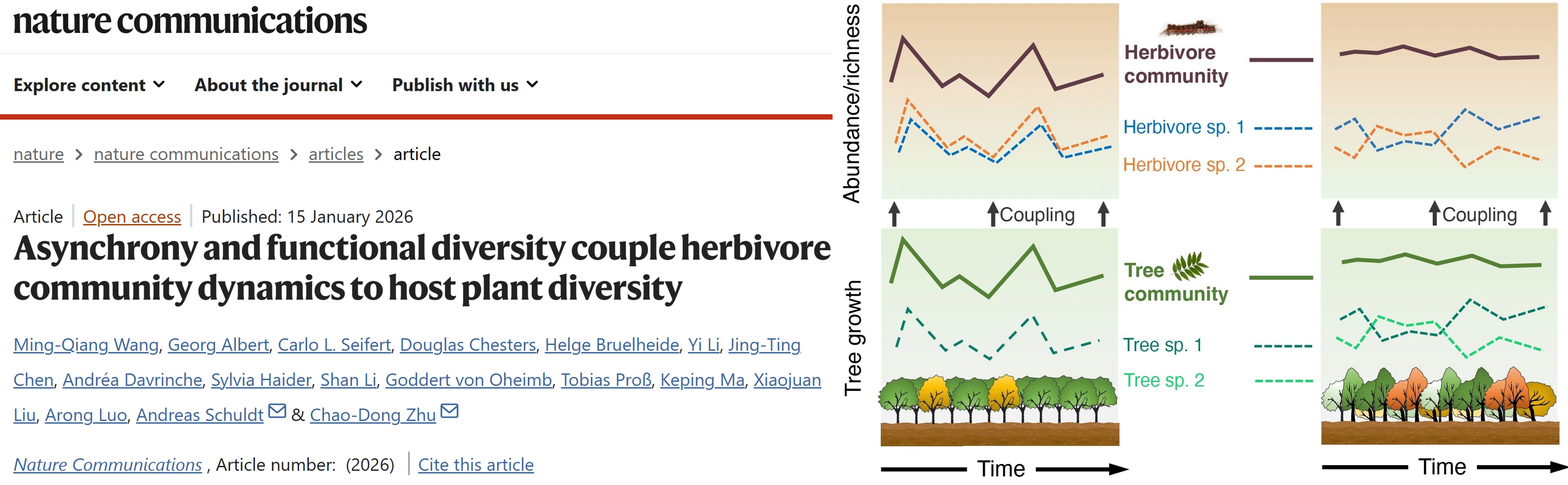 Asynchrony and functional diversity couple herbivore community dynamics to host plant diversity