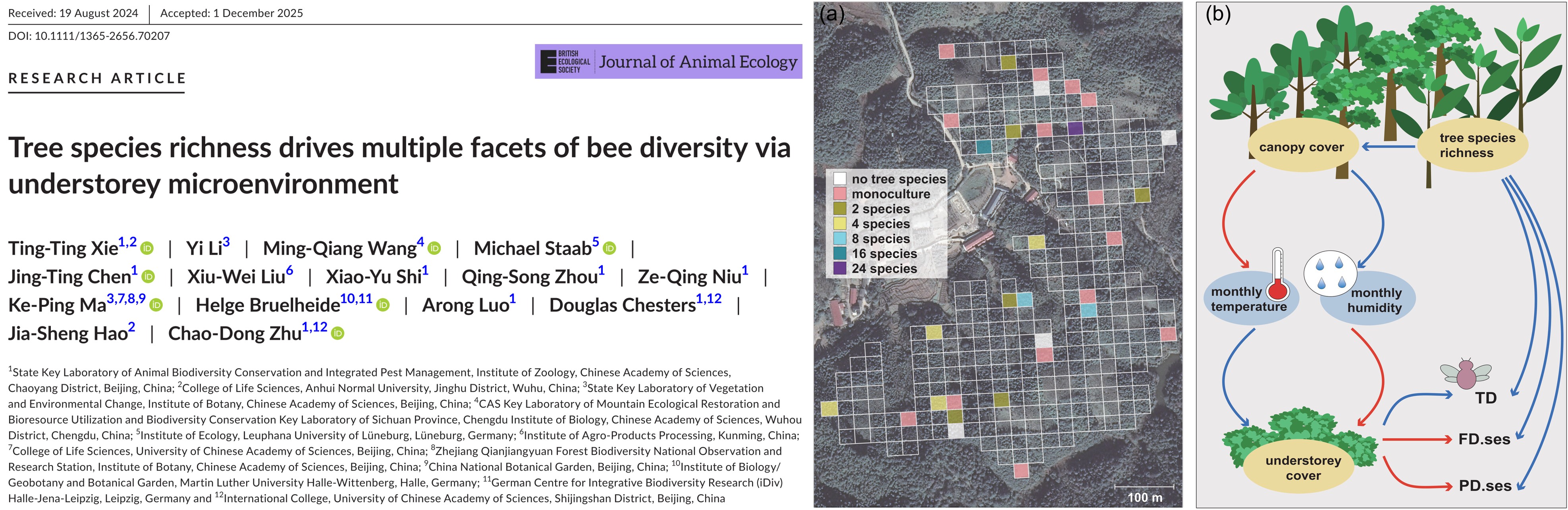 Tree species richness drives multiple facets of bee diversity via understorey microenvironment