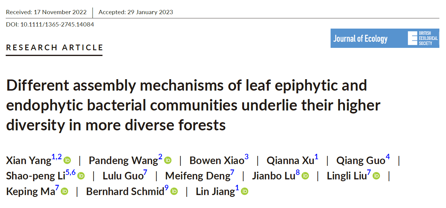Different assembly mechanisms of leaf epiphytic and endophytic bacterial communities underlie their higher diversity in more diverse forests
