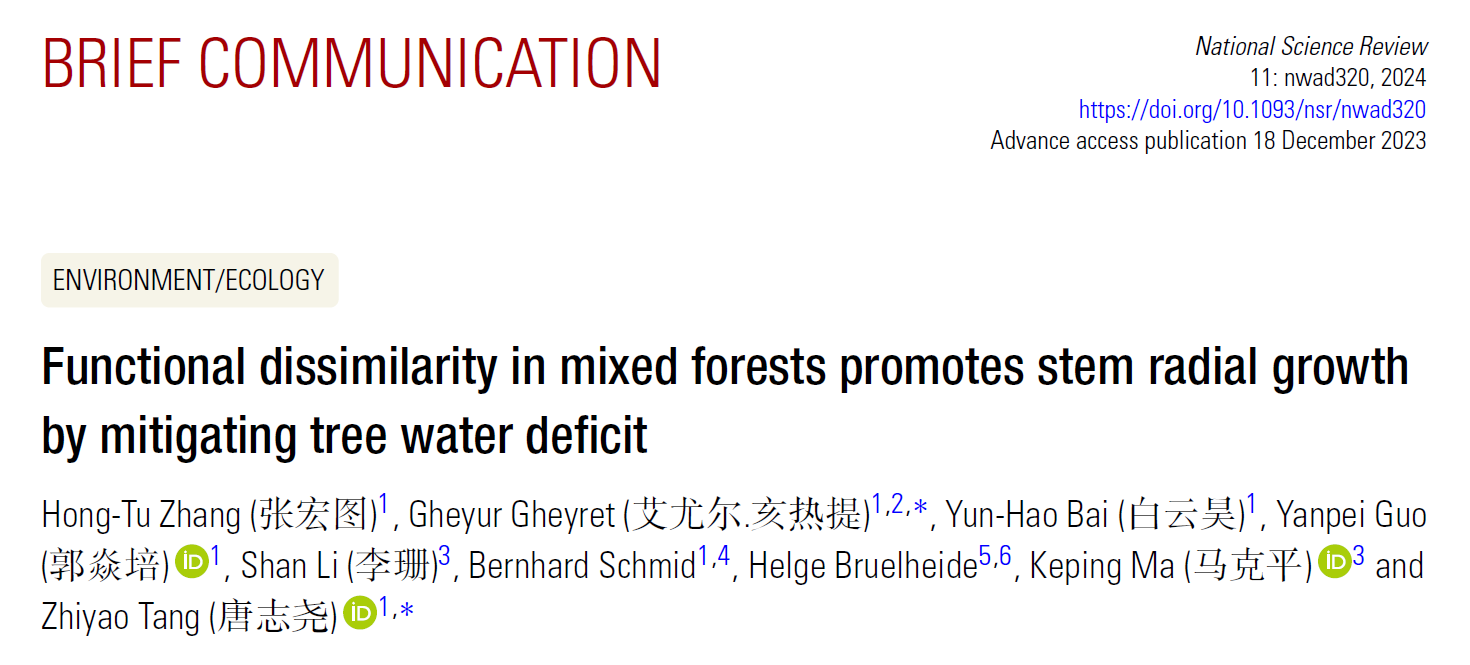 Functional dissimilarity in mixed forests promotes stem radial growth by mitigating tree water deficit