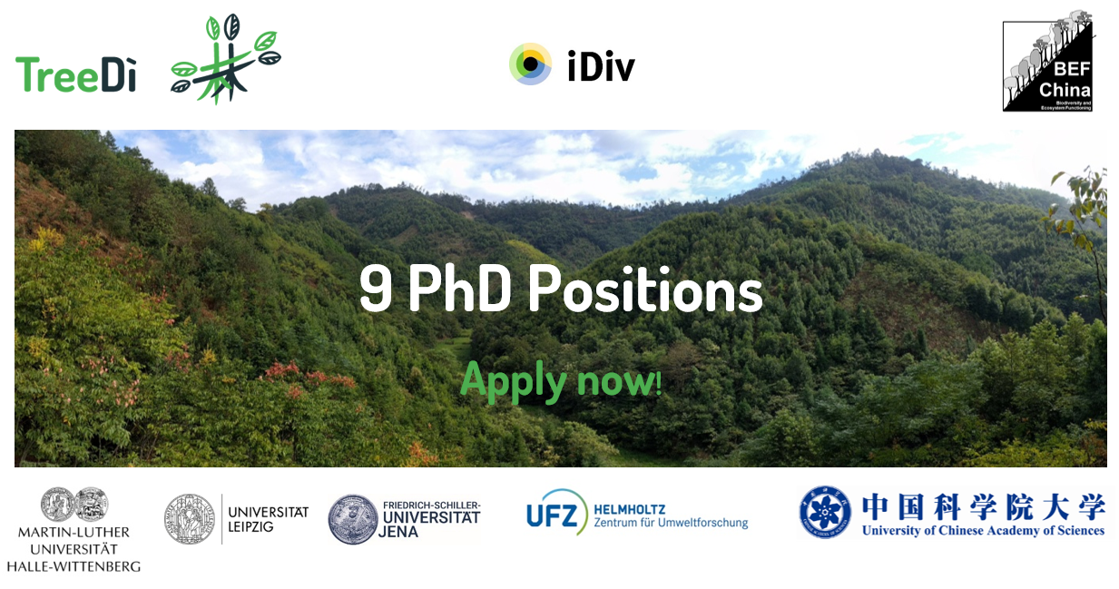 9 PhD positions in the field of forest biodiversity ecosystem functioning research (TreeDì / BEF-China)
