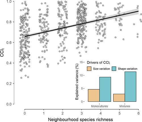 Neighbour species richness and local structural variability modulate aboveground allocation patterns and crown morphology of individual trees