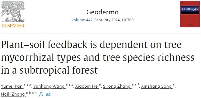 Plant–soil feedback is dependent on tree mycorrhizal types and tree species richness in a subtropical forest