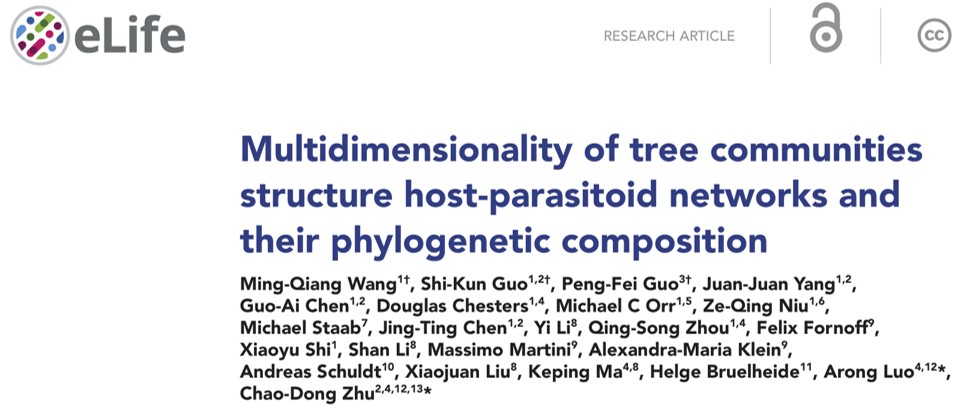 Multi-dimensionality of tree communities structure host-parasitoid networks and their phylogenetic composition